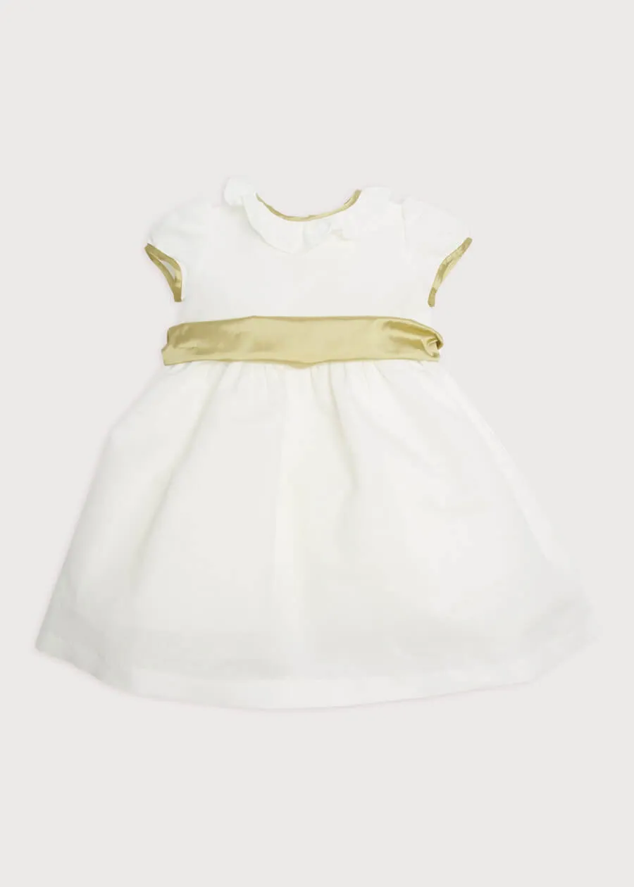 Flower Girl Ivory Dress with Green Silk Sash (12mths-10yrs)