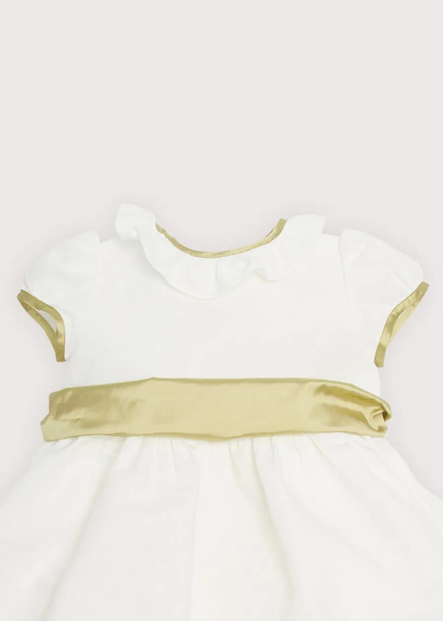 Flower Girl Ivory Dress with Green Silk Sash (12mths-10yrs)