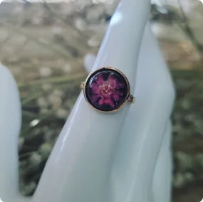 Island Girl Art - Preserved Flower Ring - Pink