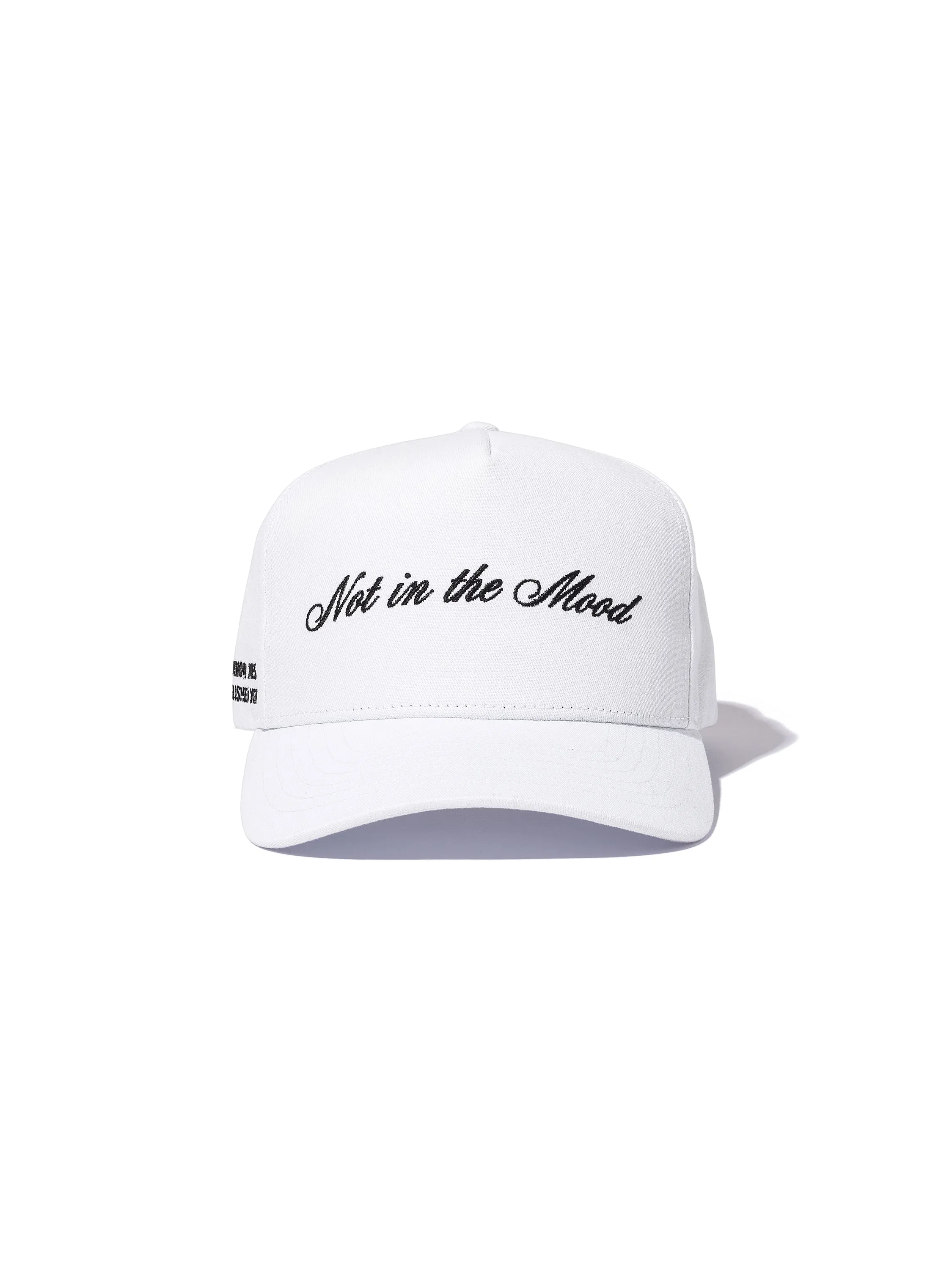 Not in the Mood Trucker Hat